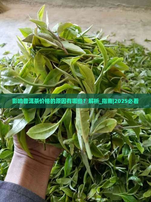 影响普洱茶价格的原因有哪些