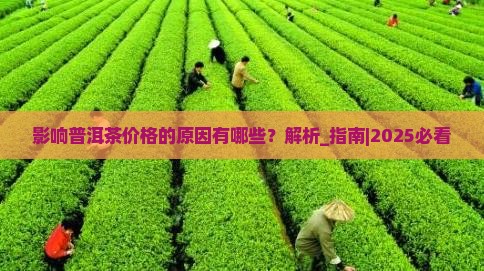 影响普洱茶价格的原因有哪些