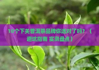 下关普洱茶品牌排行