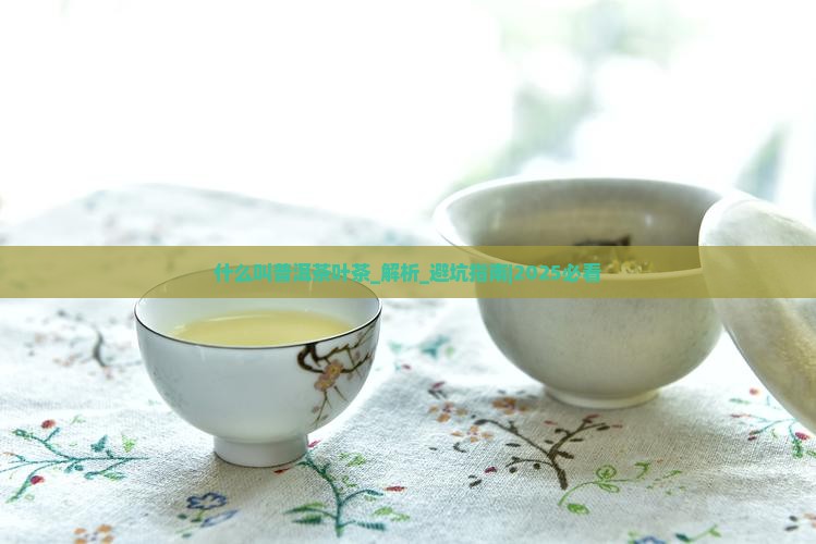 什么叫普洱茶叶茶