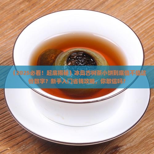冰岛古树茶小饼