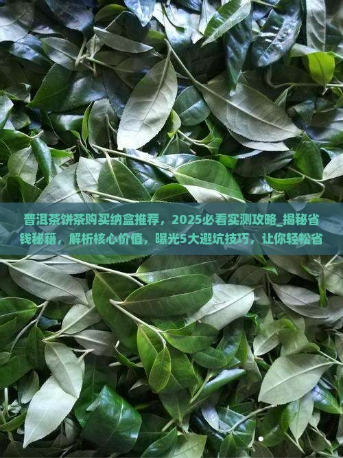 普洱茶饼茶购买纳盒推荐