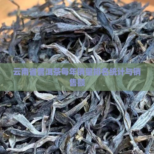云南省普洱茶每年销量