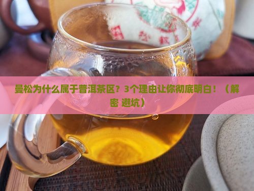 曼松为什么属于普洱茶区