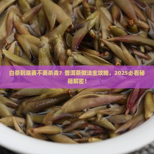 白茶需要杀青吗普洱茶做法