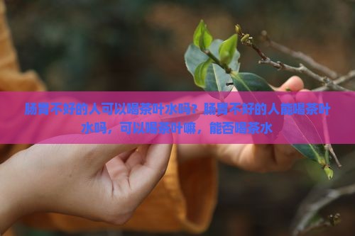 肠胃不好的人可以喝茶叶水吗