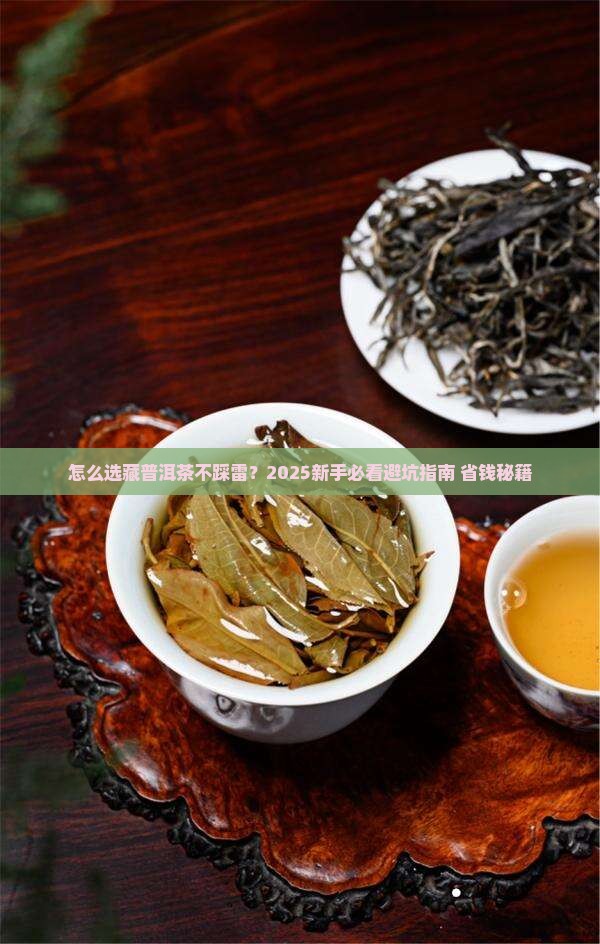 购买藏普洱茶要怎么选好