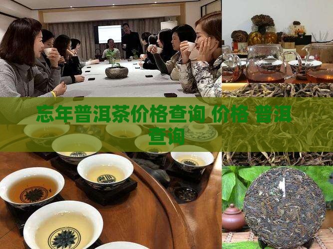 忘年普洱茶价格查询