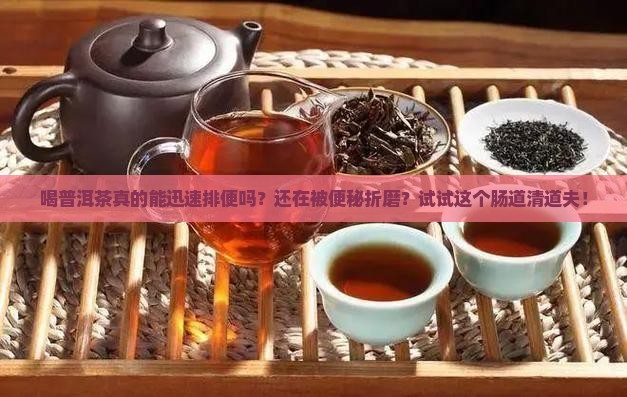喝普洱茶迅速排便