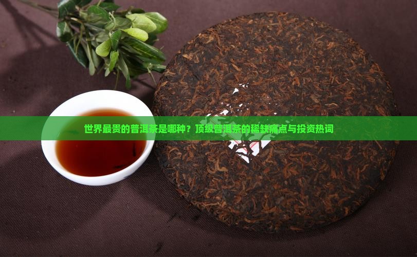 世界最贵的普洱茶是哪种