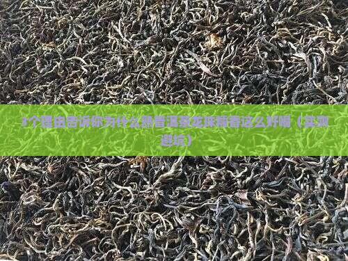 熟普洱茶龙珠糯香好喝吗