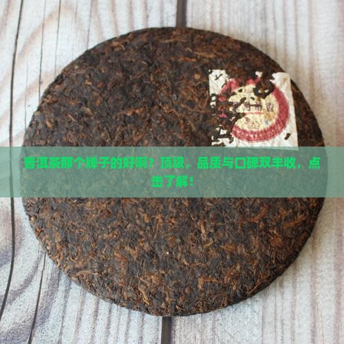 普洱茶那个牌子的好啊