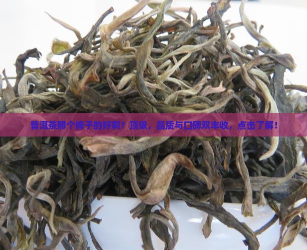 普洱茶那个牌子的好啊