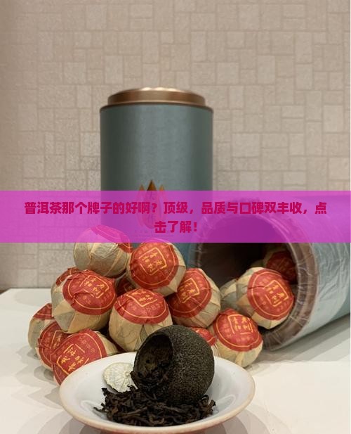 普洱茶那个牌子的好啊
