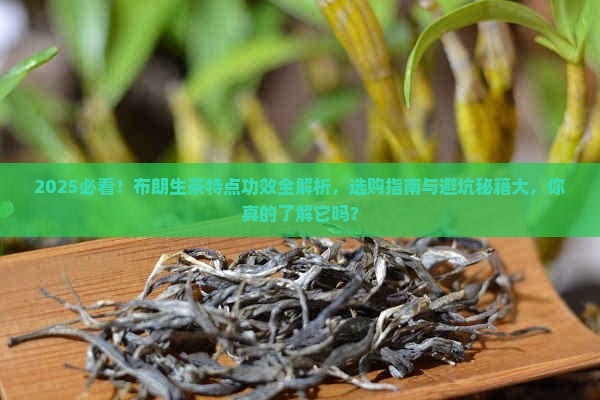 布朗生茶特点及功效
