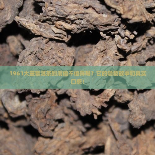 大益普洱茶1961