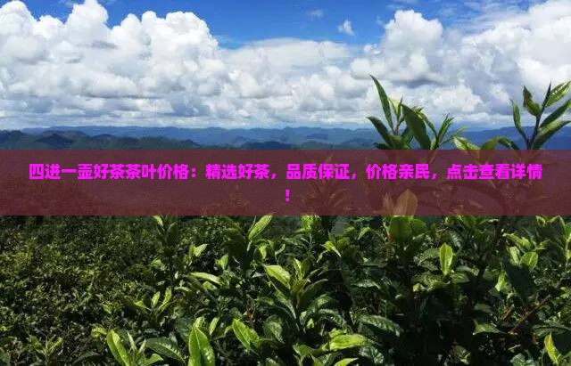 四进一壶好茶茶叶价格