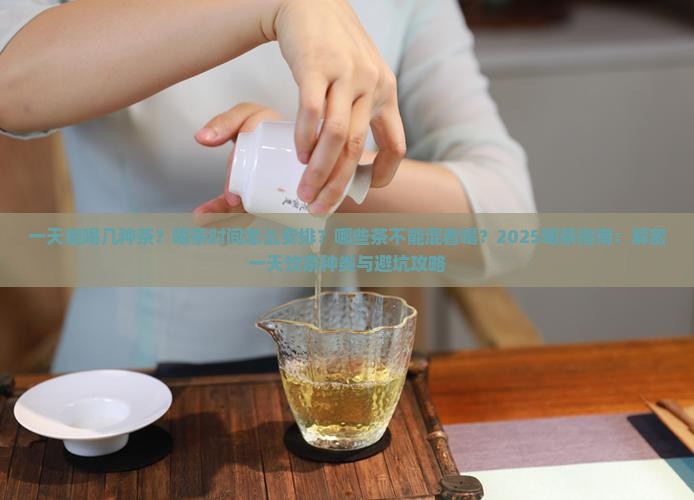 一天能喝几种茶