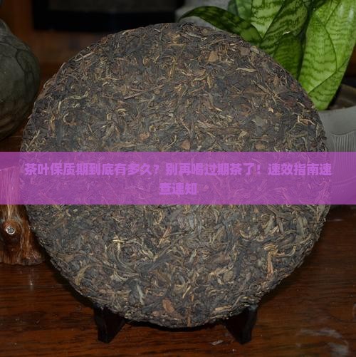 茶叶有保质期多久