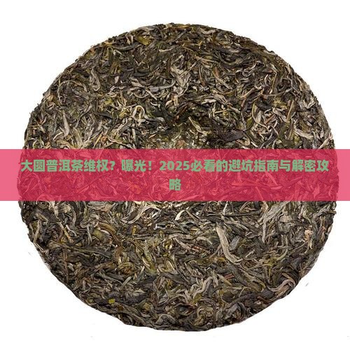 大圆普洱茶维权