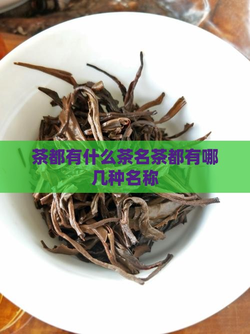 茶都有什么茶名茶都有哪几种