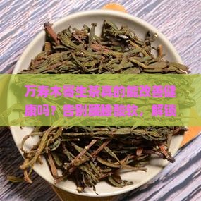 万寿木寄生茶功效与作用