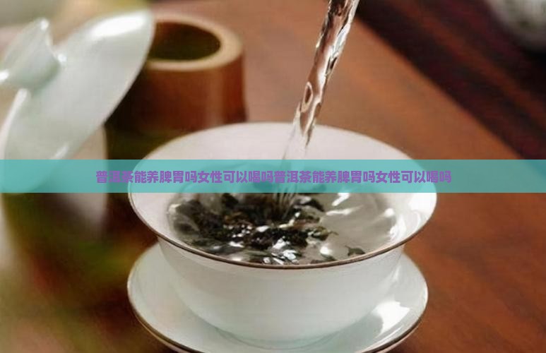 普洱茶能养脾胃吗女性可以喝吗 普洱茶能养脾胃吗女性可以喝吗