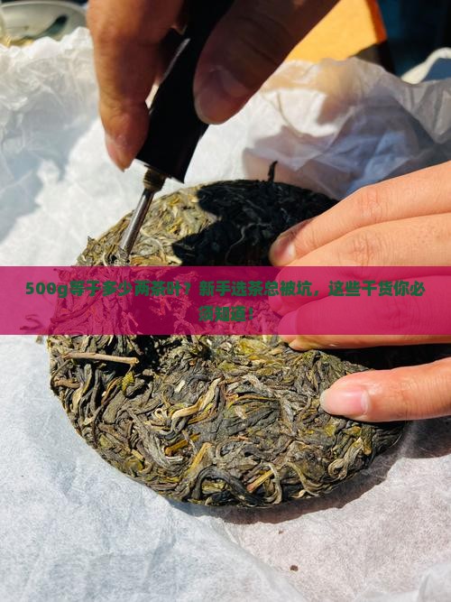 500g等于多少两茶叶