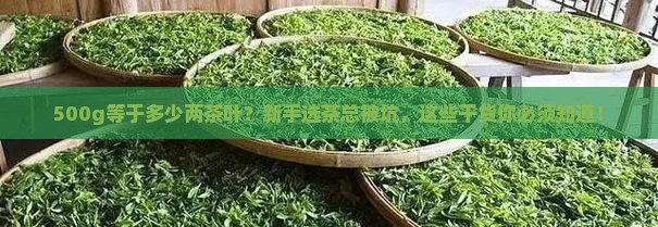 500g等于多少两茶叶