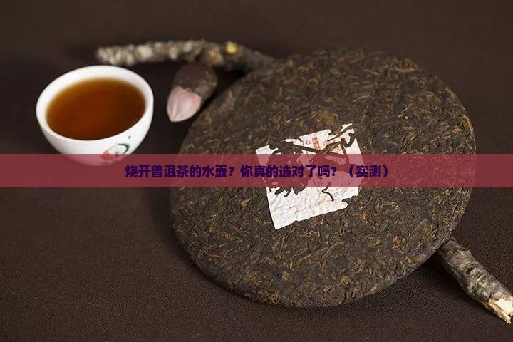 烧开普洱茶的水壶