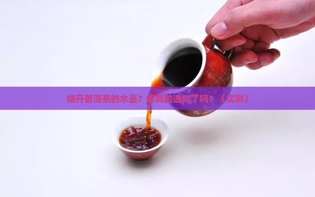 烧开普洱茶的水壶