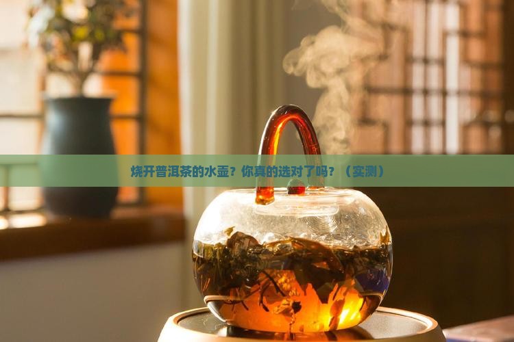 烧开普洱茶的水壶