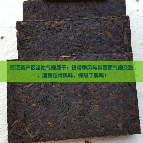 普洱茶产区当地气候属于