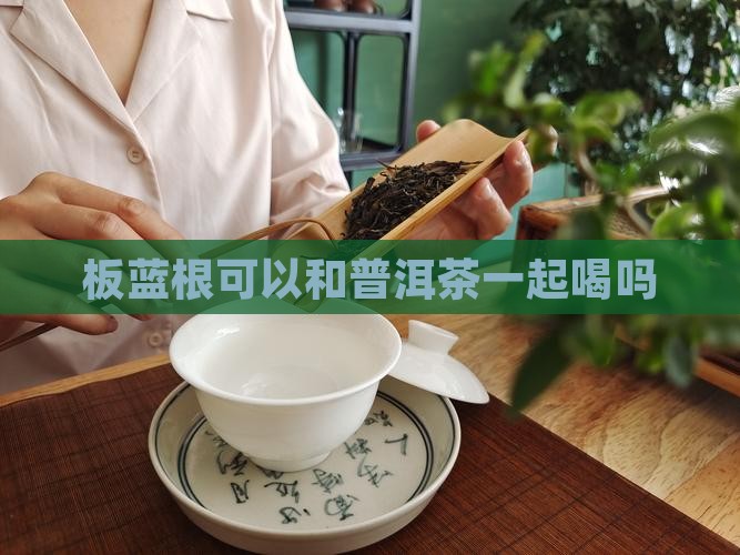 喝了板蓝根可以喝普洱茶吗
