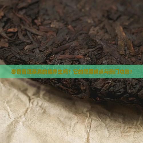 枣香普洱茶介绍