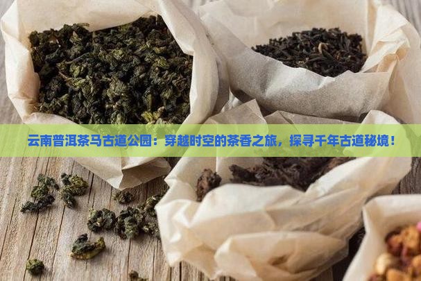 云南普洱茶马古道国家公园