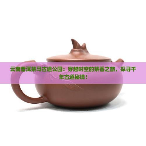 云南普洱茶马古道国家公园