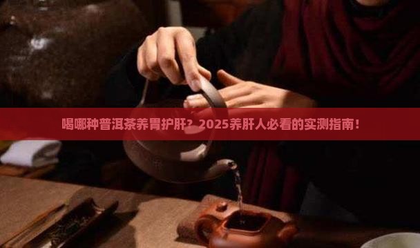 喝哪种普洱茶养胃护肝呢
