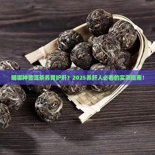 喝哪种普洱茶养胃护肝呢