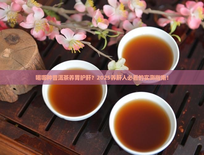 喝哪种普洱茶养胃护肝呢