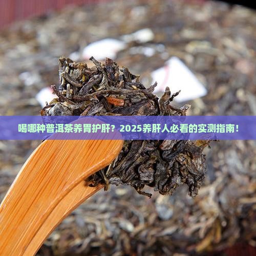 喝哪种普洱茶养胃护肝呢