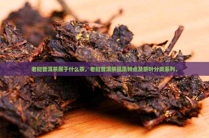 老挝普洱茶属于什么茶
