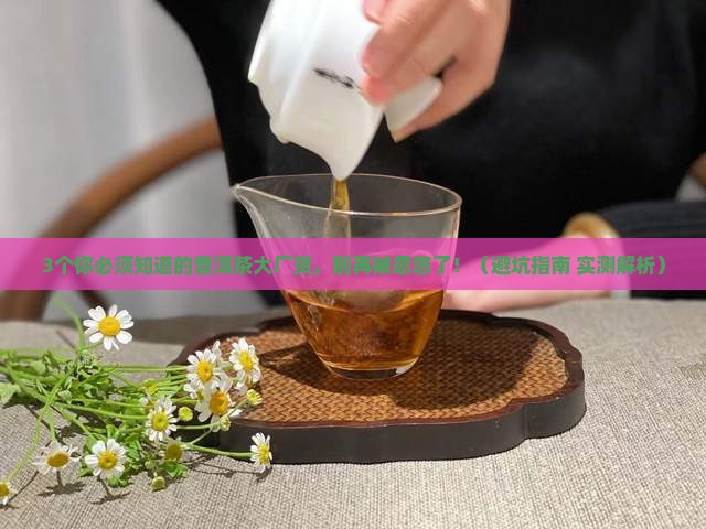 普洱茶什么是大厂货