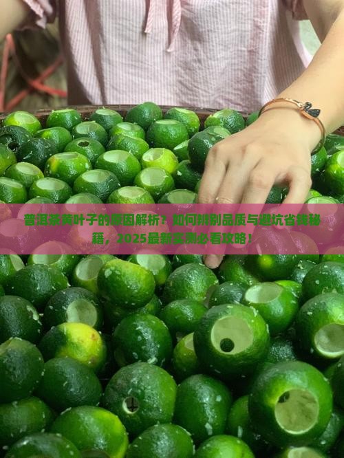 普洱茶的黄叶子是怎么回事
