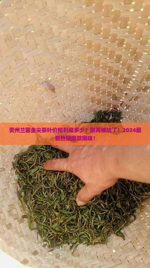 贵州兰馨金尖茶叶价格