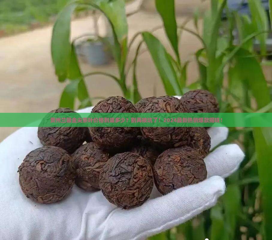 贵州兰馨金尖茶叶价格
