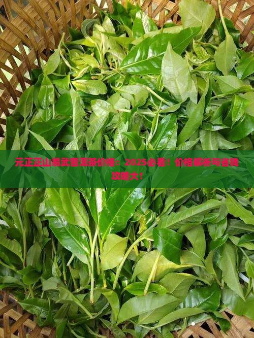 元正正山易武普洱茶价格