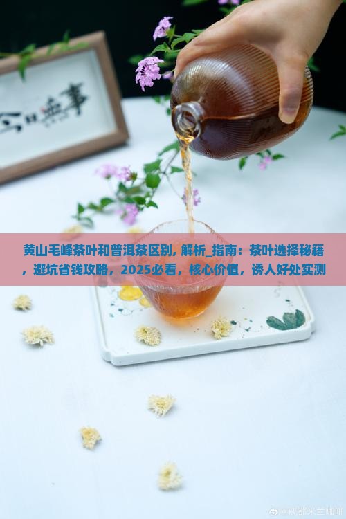 黄山毛峰茶叶和普洱茶区别