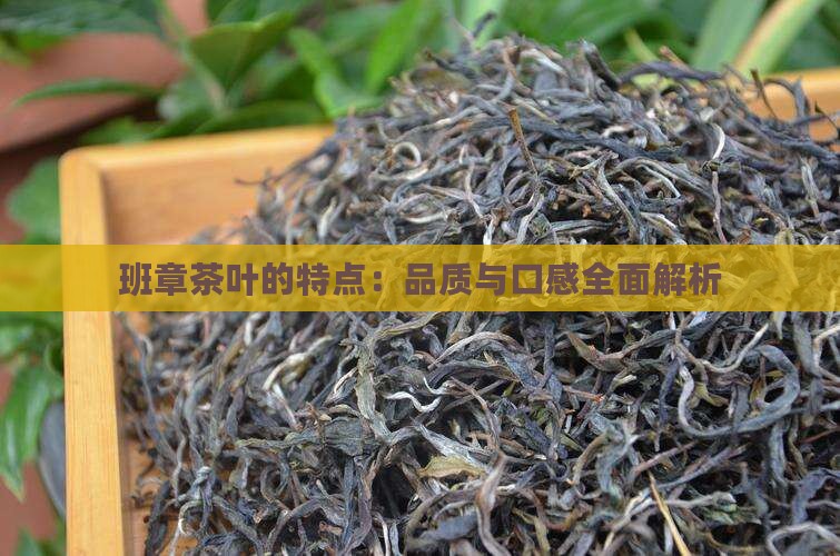 班章茶叶的特点