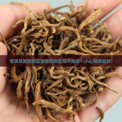 普洱茶减肥有什么禁忌